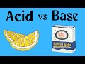 Exploring Acids and Bases in Chemistry