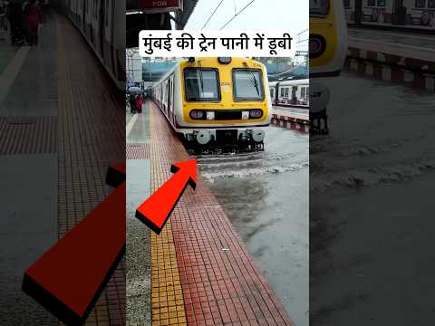 स्टेशन पर बहुत पानी भर गया और सीट भी पर पहुँच गया😮 #train #lumafacts #indianrailways #mumbai #viral