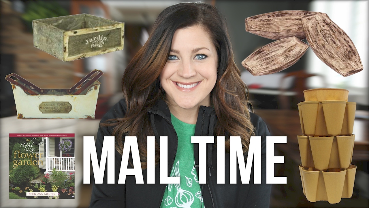Mail Time + Q&A #22