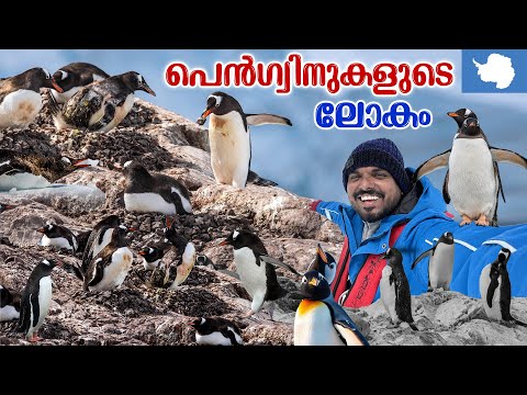 Antarctica 🇦🇶 #10 - ആദ്യമായി ചന്ദ്രനെ കണ്ടു അന്റാർട്ടിക്കയിൽ | Penguins | Cuverville Island