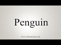 Penguin Vocabulary and Themes