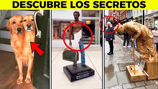 1 HORA DE LAS MEJORES HISTORIAS CURIOSAS DE 2023