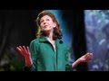 Understanding Deception and Truth