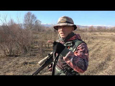Yine bir kameraman vakası / wild boar hunting