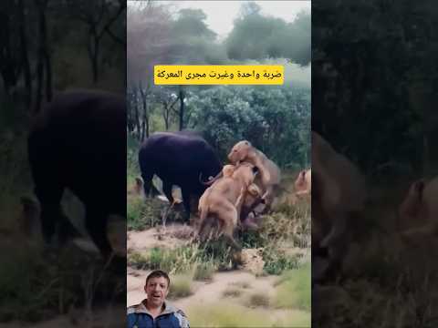 اللحظة الأخيرةقوة مطلقة فيمواجهة الموت #shorts