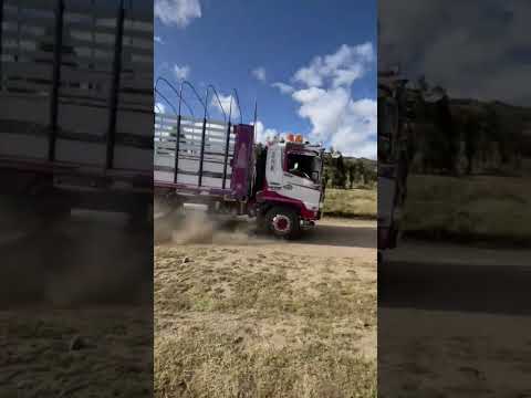 Camiones y estilo #trailers #camionerosporelmundo #carreras