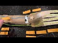 Human Arm Anatomy and Function