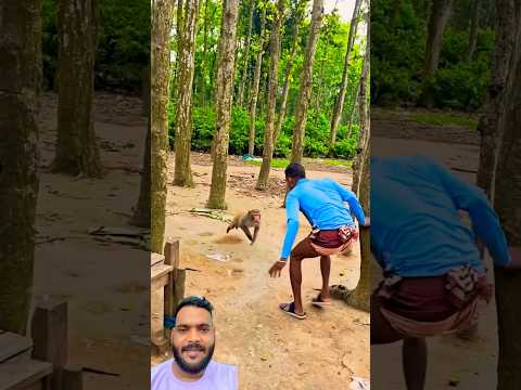Top Funny Monkey🐒#funny #comedy #humor #prank #funnyclips #lifeisbutadream #monkey #automobile #car