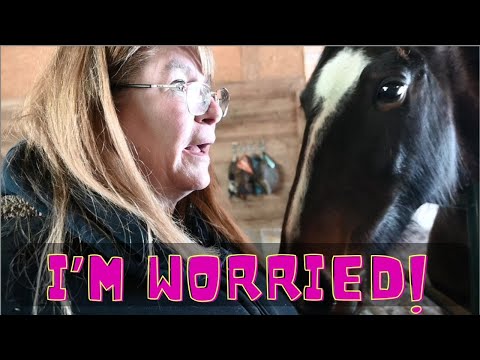 She's so WORRIED about her HORSES!