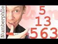 Understanding Wilson Primes