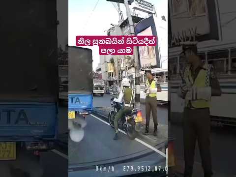 නිල 🐕 බලා සිටියදී පලා යාම 🫠 #shorts #srilanka #traffic #car #trending