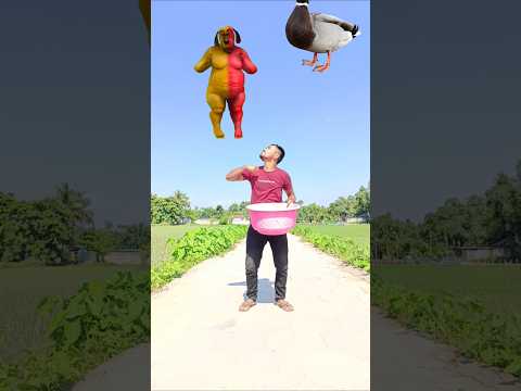 Flying crying babies Cockroach vs danching fote dog,, cute buddhi,, duck,, good day funny video 😃