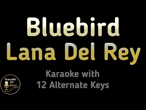Lana Del Rey – Bluebird Karaoke Instrumental Lower Higher Male & Original Key