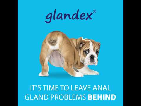 Glandex - Boot the Scoot Ad