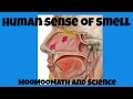 Understanding the Sense of Smell