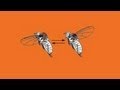 Understanding Insect Flight and Neuroscience