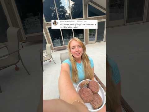 How giving my dogs raw food turned them WILD 🐺🥩🤯😱 #dogfood #raw #rawfood