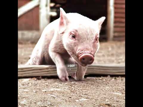 #edit #movie #film #funny #foryou