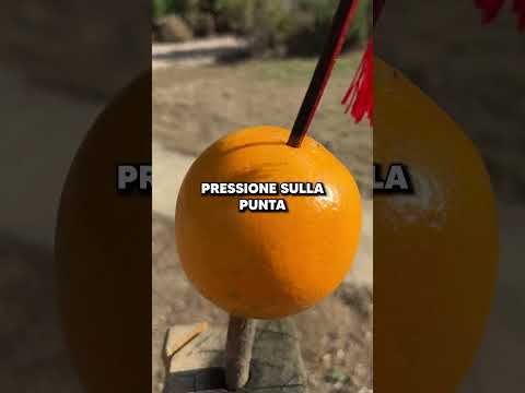 17$ vs 1000$ katana, qual è la migliore!? 😍