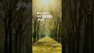#wannabeyours #articmonkeys #capcut #lyrics #shortvideo