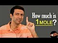 Understanding the Mole Concept
