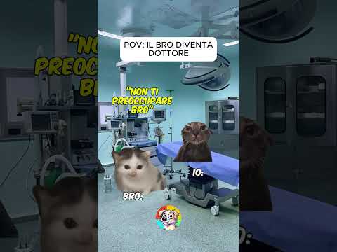 ANIMALI DIVERTENTI #211:  POV QUANDO IL DOTTORE è il Tuo BRO  #shorts #memes