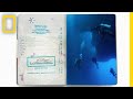 Eco-Tourism and Environmental Protection in Palau