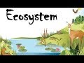Ecosystem Concepts and Energy Transfer