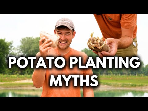 Do Not Believe These 5 MYTHS About Growing Potatoes!