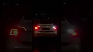 Tesla Holiday Update Light Show 2024