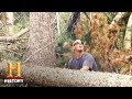 Zitterkopf's Bear Ranch Adventure Quiz