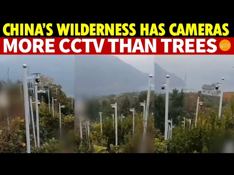 Shocking! In China’s Wilderness, There Are More CCTV Than Trees, Planting CCTV  Instead of Trees