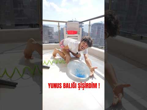 Yunus balığını şişirdim ! 🐬