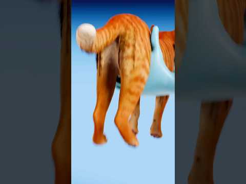 How Animals Poop