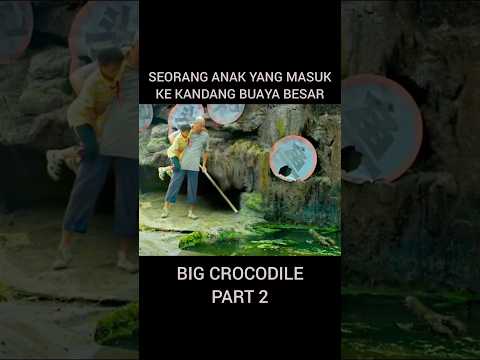 anak ini masuk ke kandang buaya terbesar di dunia #buaya #crocodile