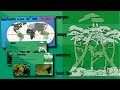 Rainforest Layers and Wildlife
