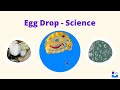 Physics of Egg Drop Project