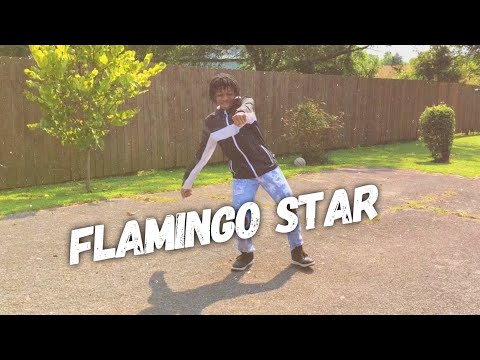 FLAMINGO STAR - Yvng Swag ft. PedritoVM (Dance Video) @YvngHomie #FlamingoStar
