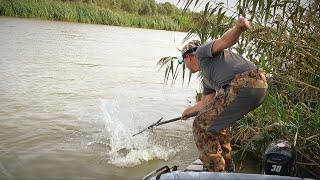 видео