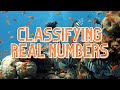 Classifying Sets and Subsets of Real Numbers