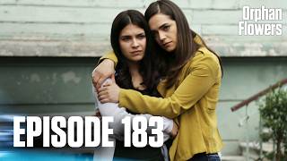 Kırgın Çiçekler I Orphan Flowers - Episode 183