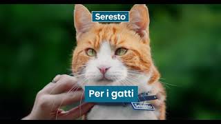 Seresto video breve applicazione