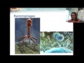 DNA and Genetic Material Concepts