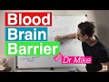 Functions and Roles in the Blood-Brain Barrier