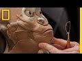 Forensic Reconstruction and Extinct Species