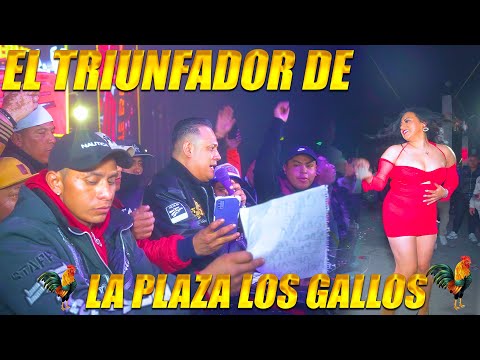 🔥🔥🔥EL TRIUNFADOR DE LA PLAZA LOS GALLOS DANDO UNA CATEDRA MAS 😱😱😱