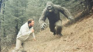 Real Bigfoot Attacks That Hunters Refuse to Speak About
