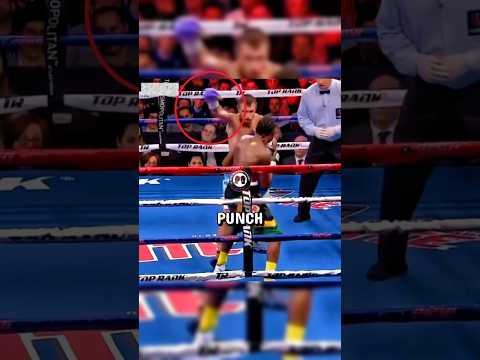 Hi-Tech Loma fake Punch #lomachenko #boxing