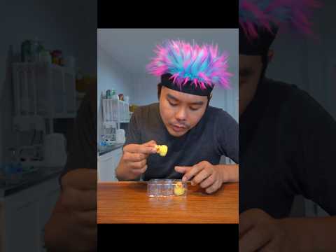 พี่ไทเกอร์แอบกินเยลลี่เป็ด หลอกให้ผมไปเก็บมะม่วง 🐤 Yellow duck jelly