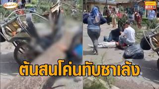 นาทีระทึก ต้นสนริมหาดล้มทับซาเล้ง ที่ขี่ผ่านมาพอดี บาดเจ็บสาหัส 2